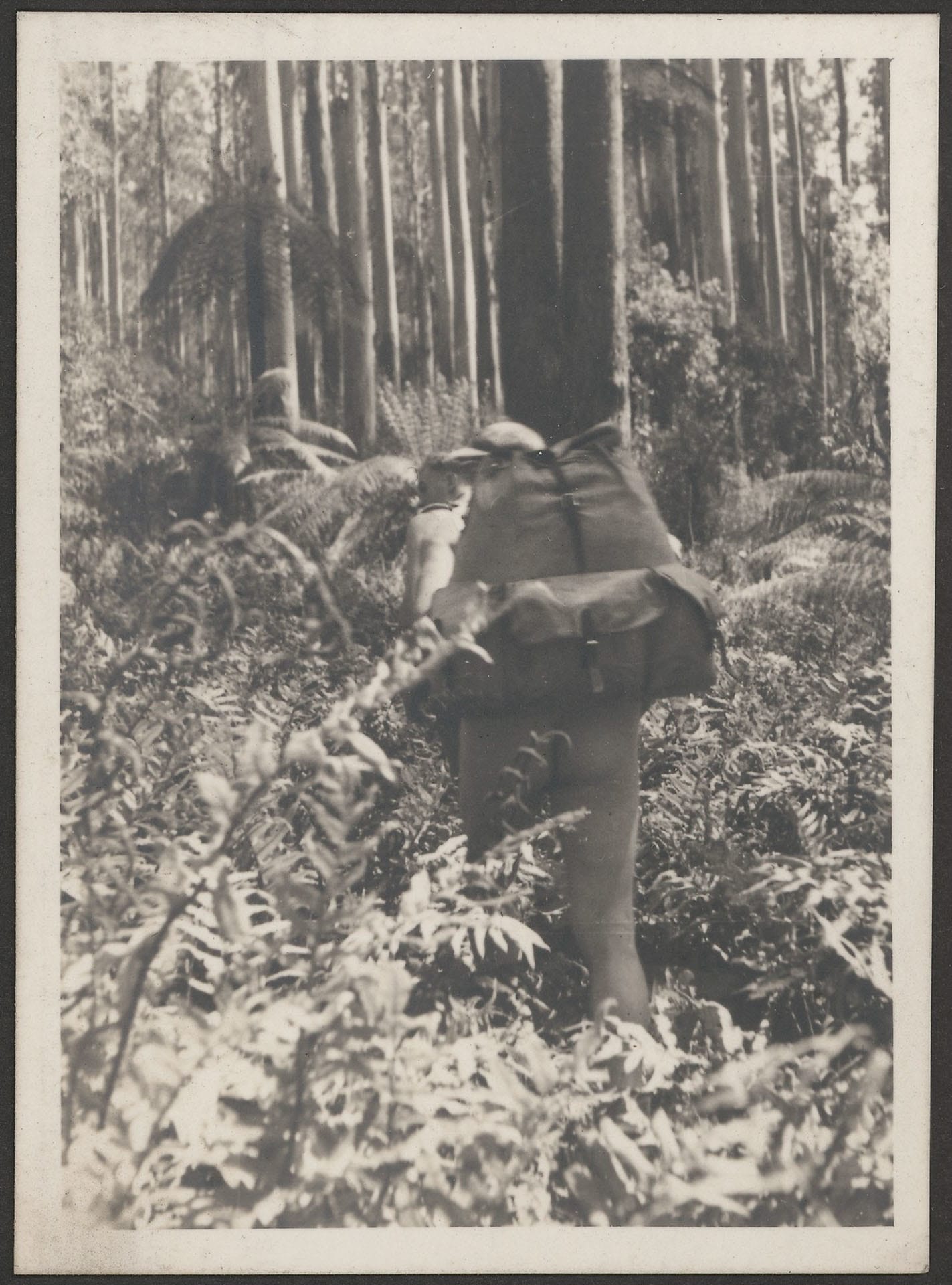 Naked fern hiker 1937 CP FREE SLV, the Intriguing History (and Exciting Future) of Hiking Clothing