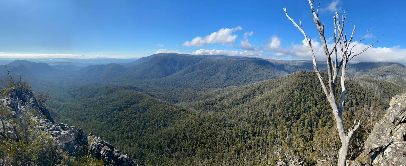 The Best Day Trips From Melbourne, Arden Haar, Sugarloaf Peak, mountains, forest, view