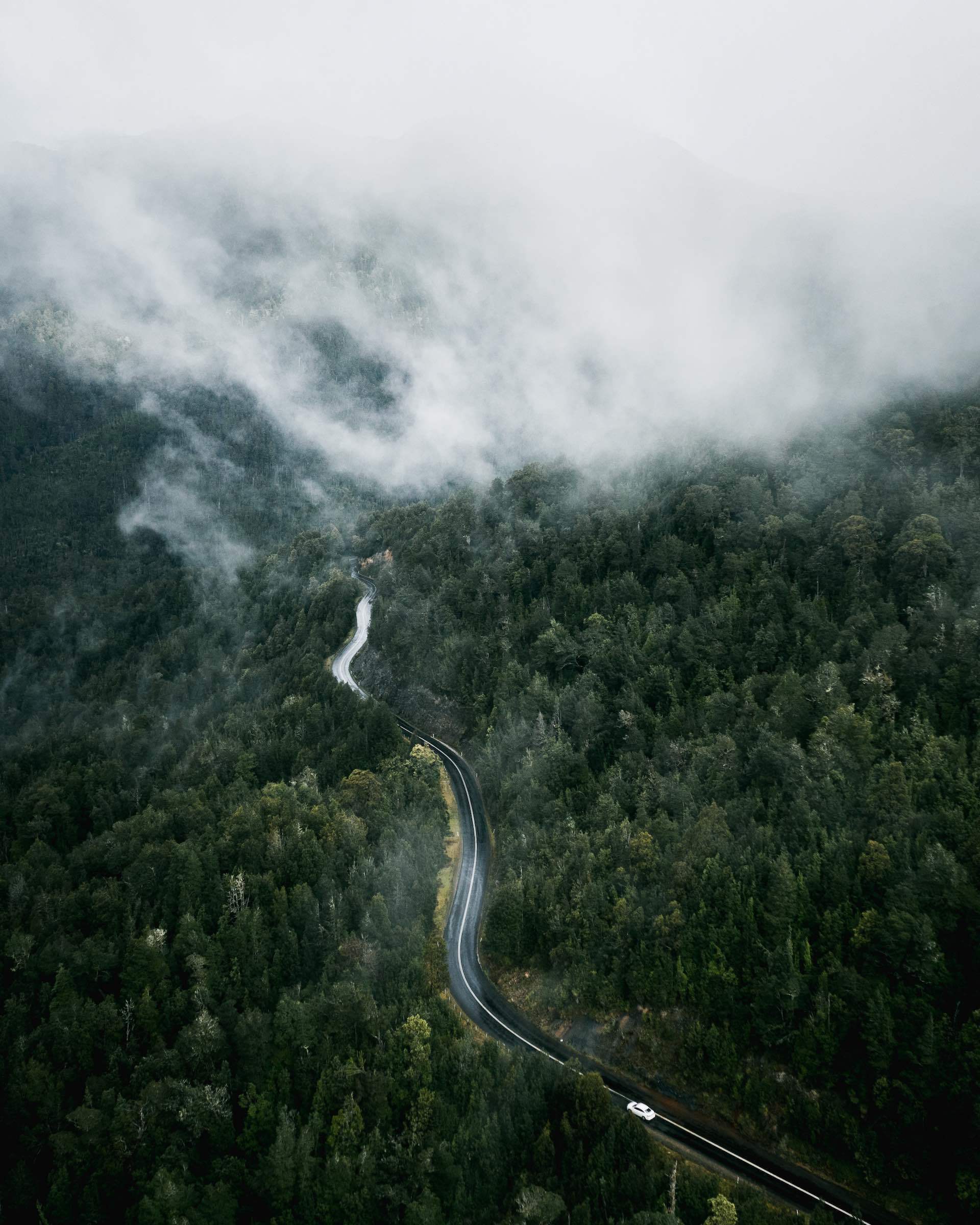Best 6 Tasmania Road Trips, drone shot, forest, mist, road, car, mountain