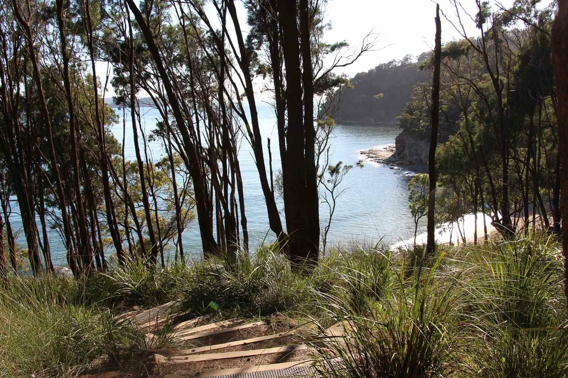 Flint & Steel Beach – Sydney’s Secluded Escape, ayla rowe, ku ring gai national park, near sydney, nsw