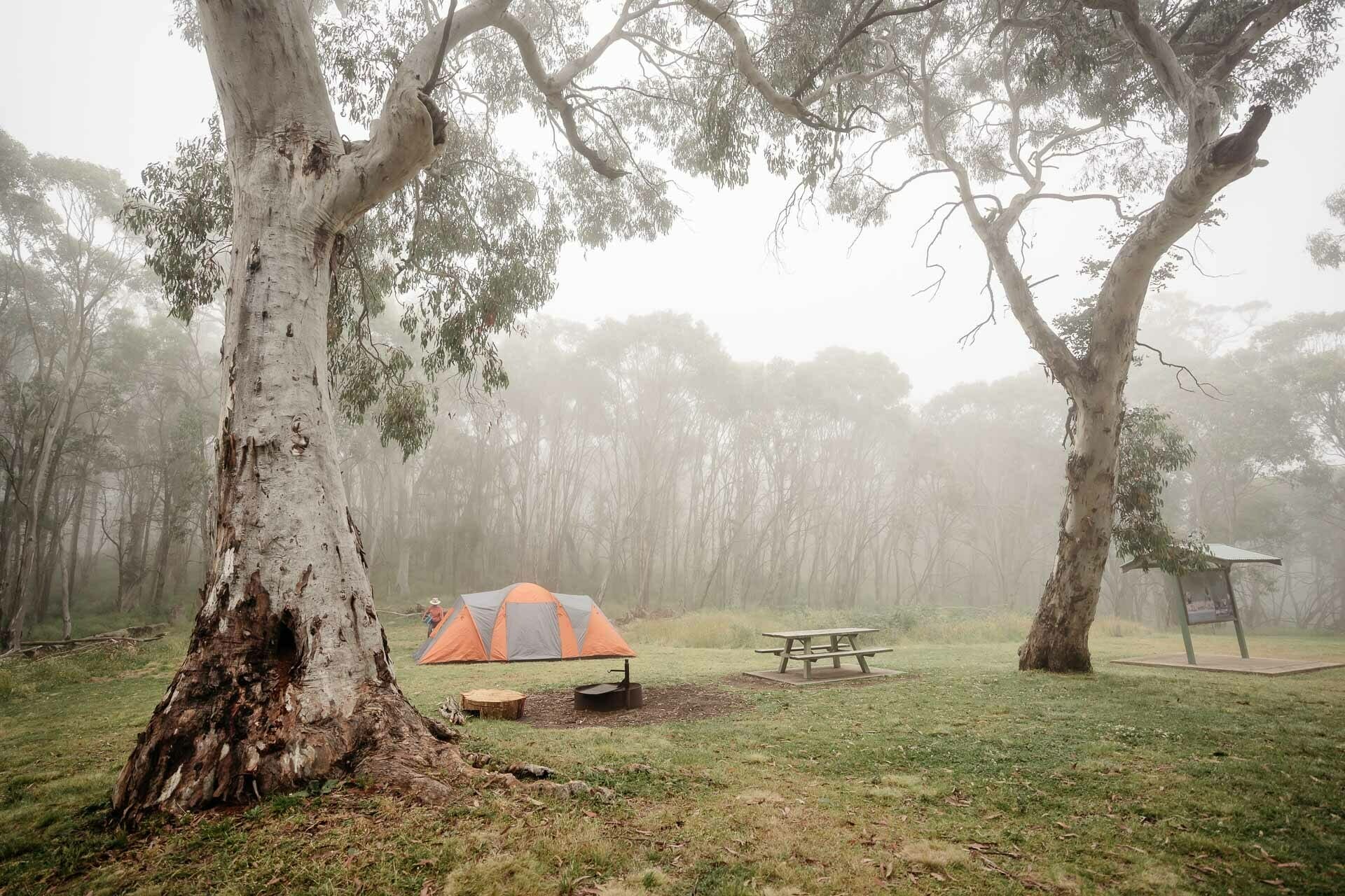federal falls campground, Love Wine, Fancy Snacks, and Adventures? Head Straight to Orange!, photo by Lorena Rabbani, orange, nsw, cool summer