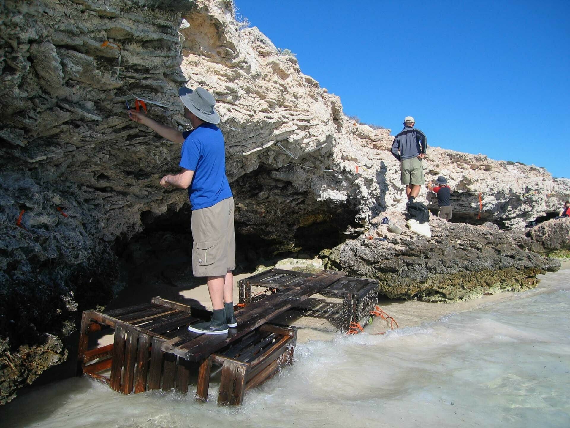 What’s Happening to Our Reefs? The Effect of Global Heating on Marine Life, photo by Marie Kospartov, reef, science, fossil record, climate change
