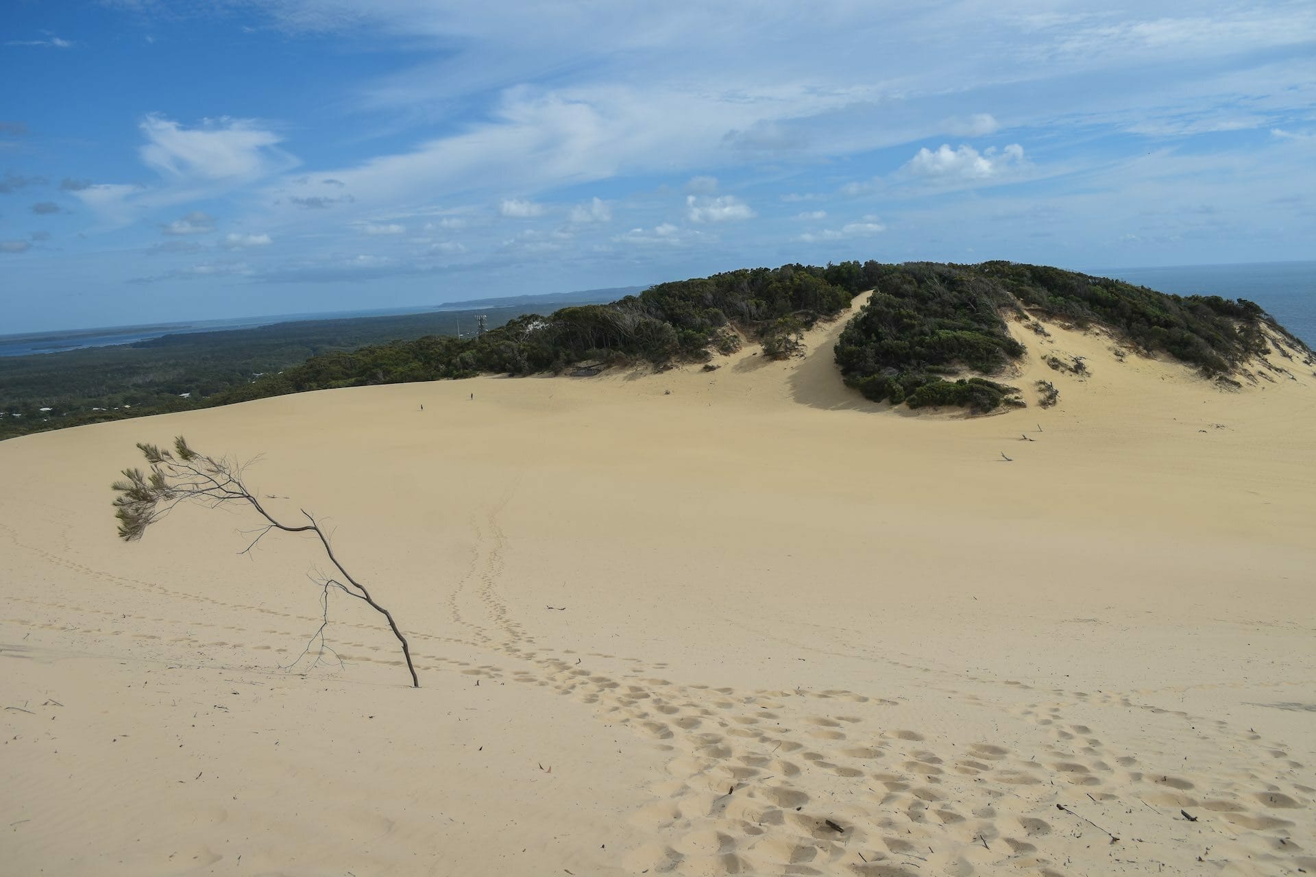 Explore Poona Lake For a Taste of The Cooloola Great Walk, Lisa Owen, Carlo Sand Blow, sand dune, beach