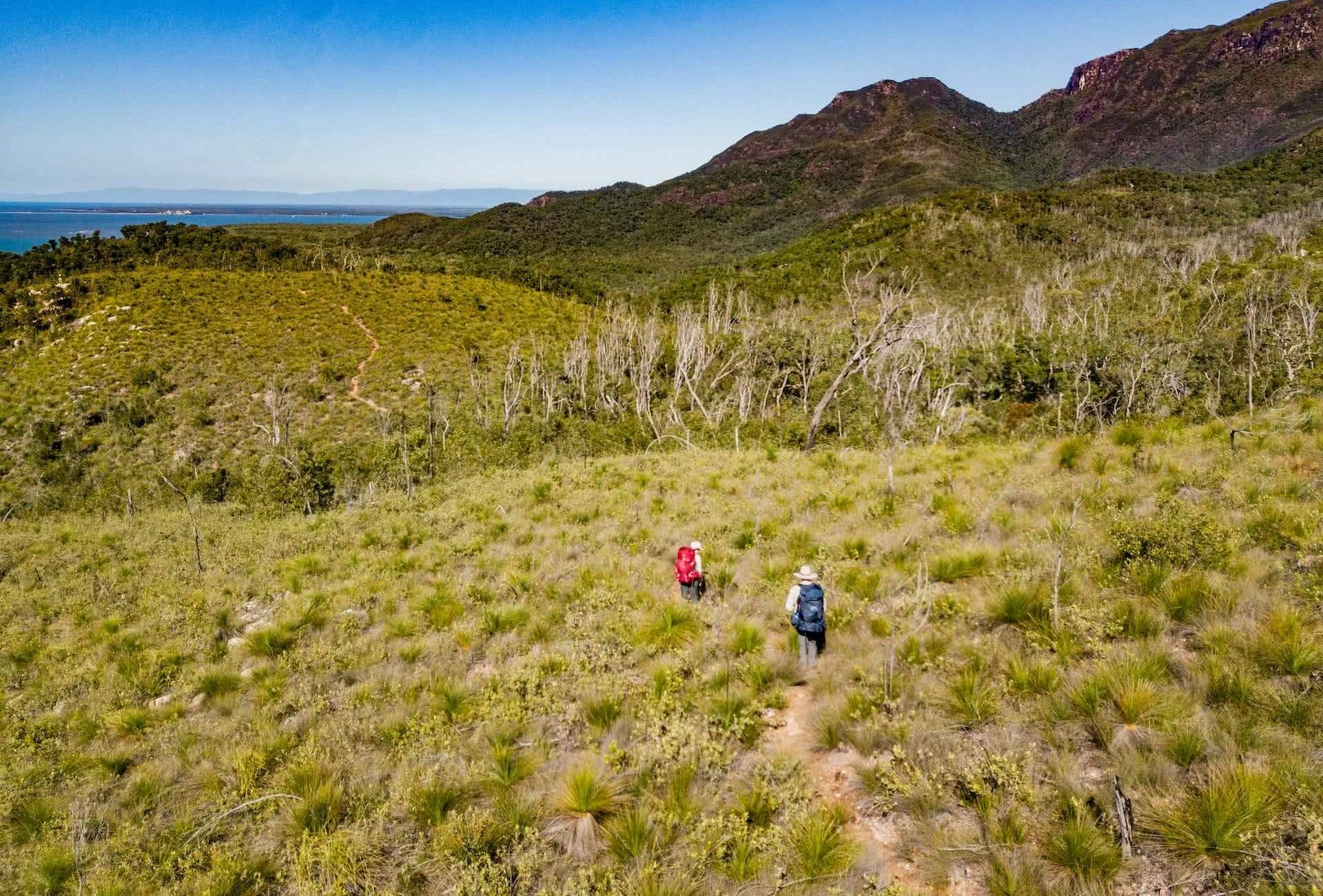 The Thorsborne Trails Offers 4 Days of Tropical Island Trekking, Andrew Boyle, Hinchinbrook Island, hike, trail, people, drone shot, mountain