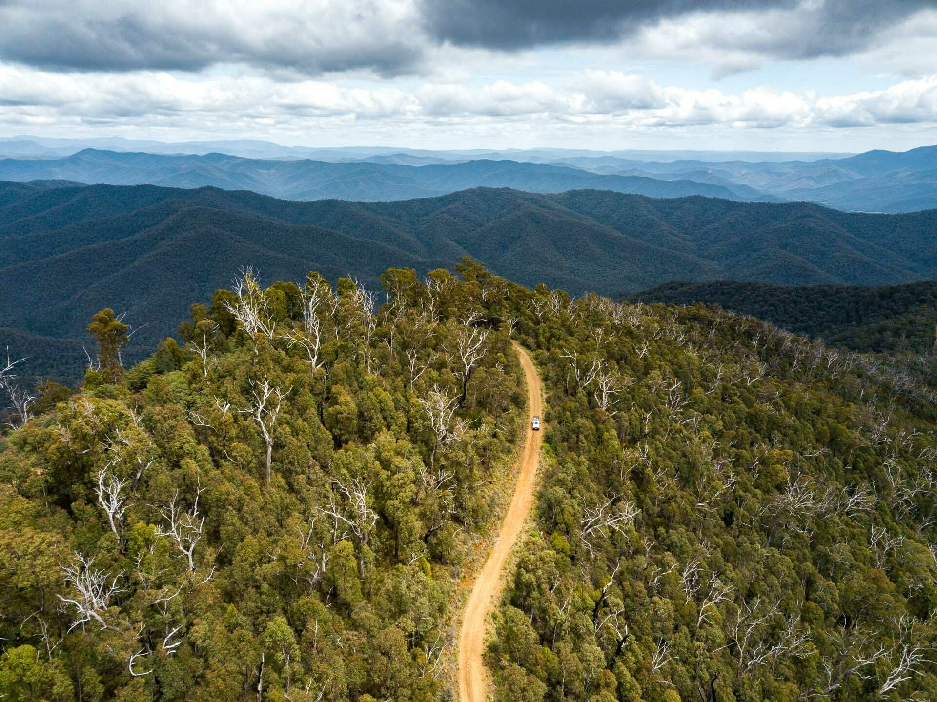 The 7 Best Victoria Road Trips, photo by @explore_with_ab/, drone shot, road, forest, mountains, car, drive
