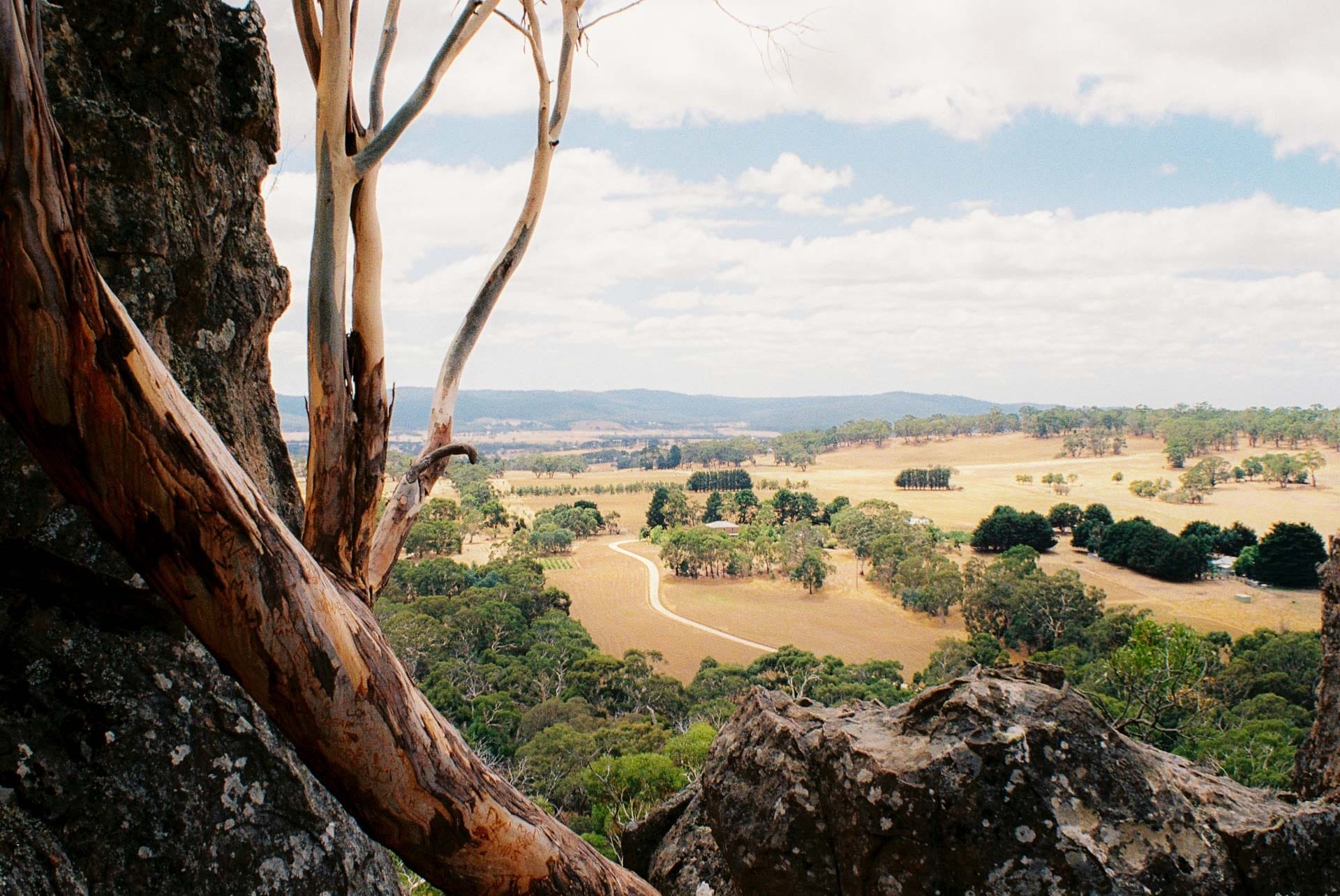 7 Best Victoria Road Trips, Ryan Fisher, Mt Macedon, countryside, farmland