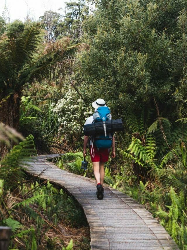 9 Best Multi Day Hikes in Victoria