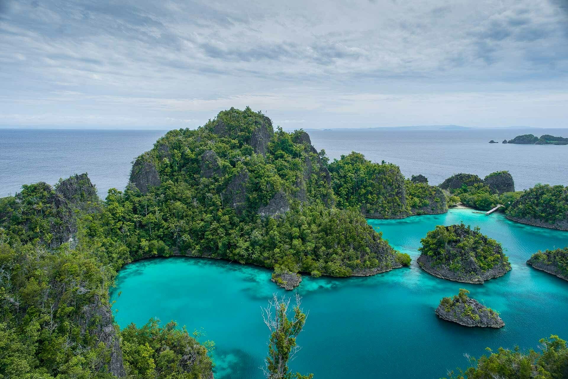 Why It's Worth Choosing An Ethical Wildlife Tour, lewis burnett, phillipines,