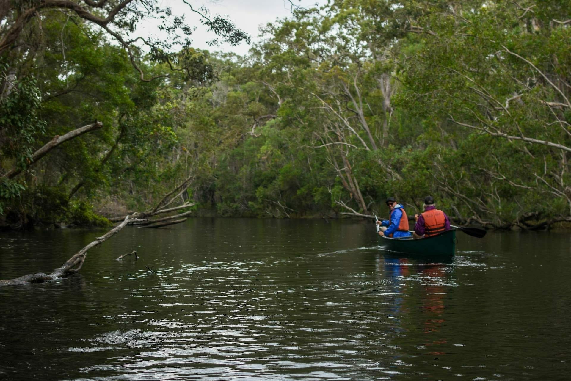 Paddling The River of Mirrors in The Noosa Everglades - We Are Explorers