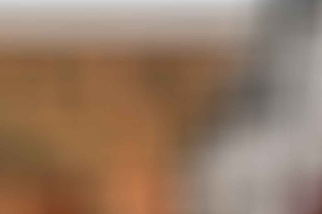 4WDing Across The Simpson Desert, Eva Davis-Boermans, troopy, desert, 4WD, car, track, sand dunes