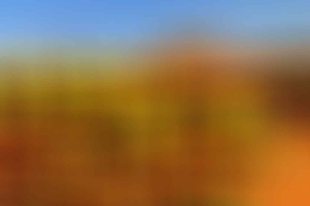 4WDing Across The Simpson Desert, Eva Davis-Boermans, sand dunes, wildflowers