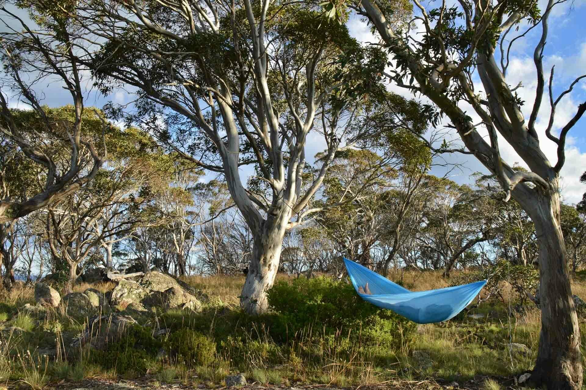 Pat enjoying relaxing in the hammock, Fast & Light – A Mt Gingera Overnight Hike in Under 24 Hours, Alice Wisse, ultralight, australian capital territory