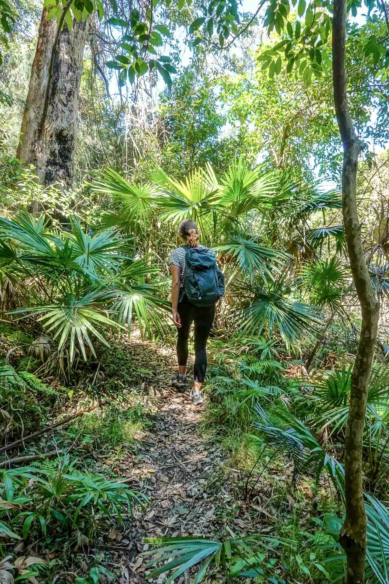 Hiking alongside Morning Bay, How to find Birnie Lookout on Towler's Bay Trail, ku ring gai national park, dan piggott, travel made me do it, sydney, nsw