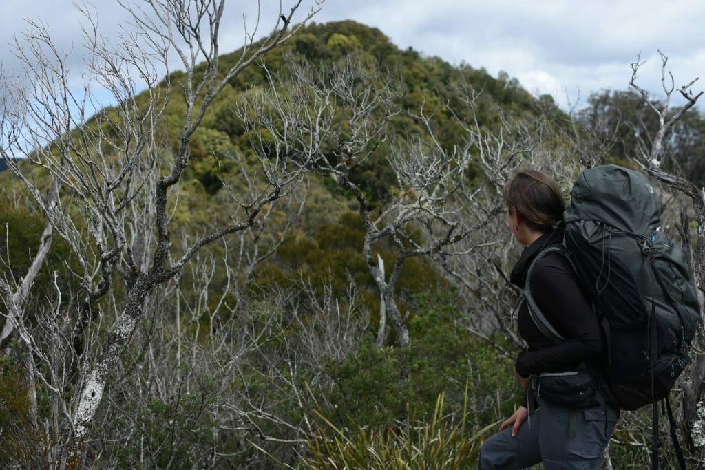 A person standing next to a tree