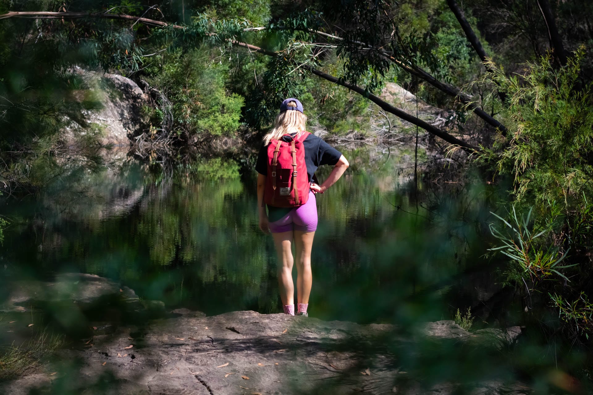 Is AllTrails Pro a Hiking App Worth Paying For?, Photos by Matt Pearce, Bullawarring track, heathcote national park, nsw, hikes near sydney