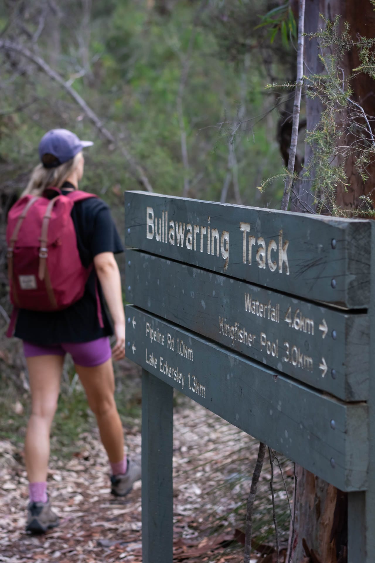 Is AllTrails Pro a Hiking App Worth Paying For?, Photos by Matt Pearce, Bullawarring track, heathcote national park, nsw, hikes near sydney