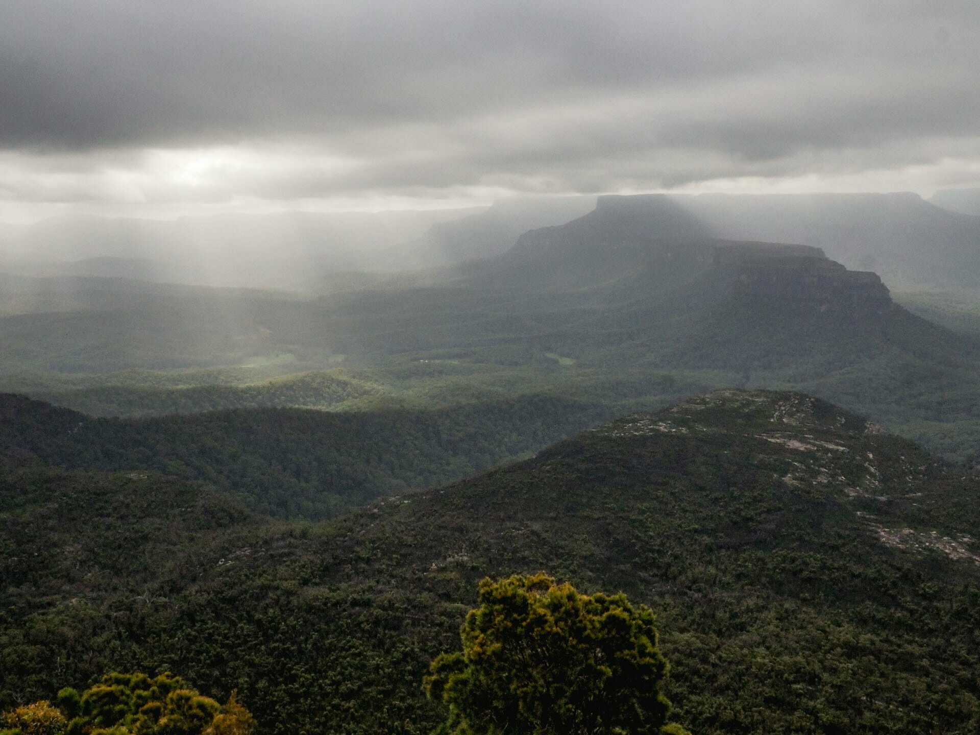 Didthul / Pigeon House Mountain Day Hike – A Trip to The Nip, Ruby Woodruff, Budawangs, mist, mountains