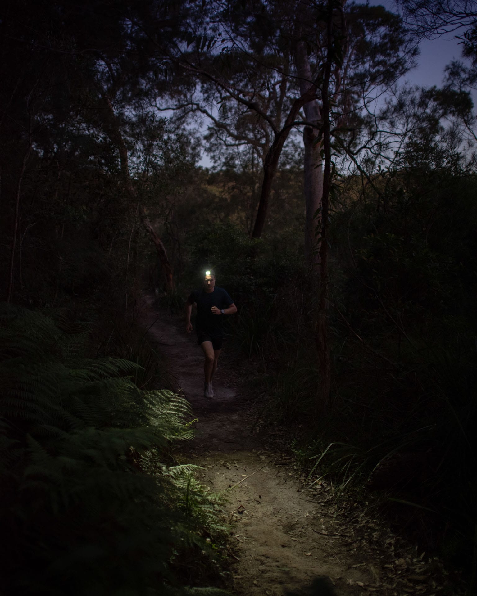 BioLite HeadLamp 750 – Gear Review, photo by evan andrews, model tim ashelford, trail running, dark, head torch