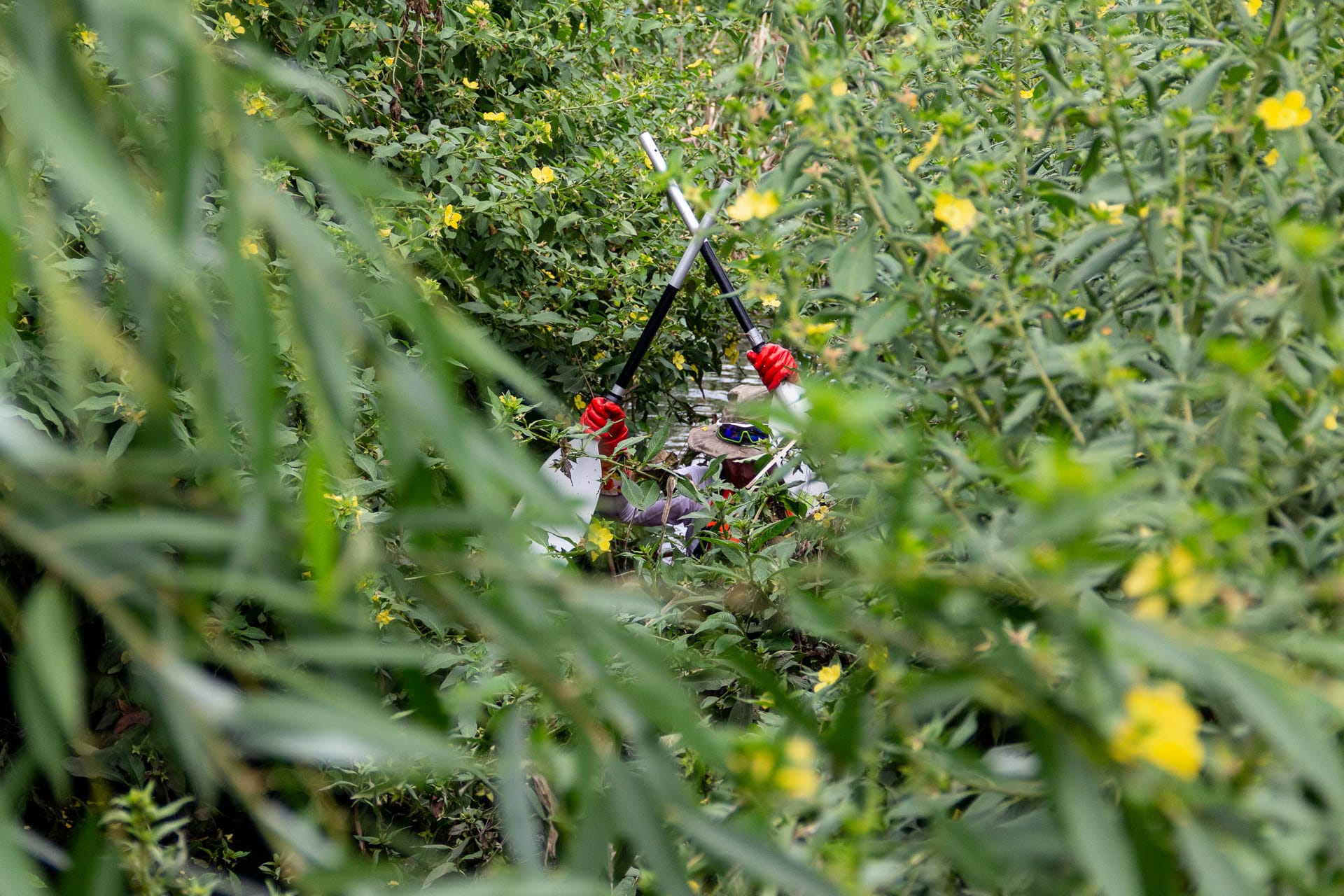 What the Heck Is Beau Miles Up to Now?, photo by Tim Ashelford, bad river, beau miles, kayak,