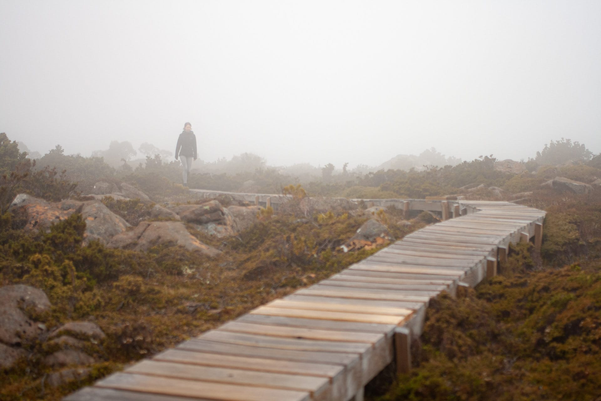 Hit by low vis, The Tarn Shelf – Tasmania's Best Day Hike You've Never Heard Of, casey fung, tarn shelf, mt field national park, tasmania, boardwalk