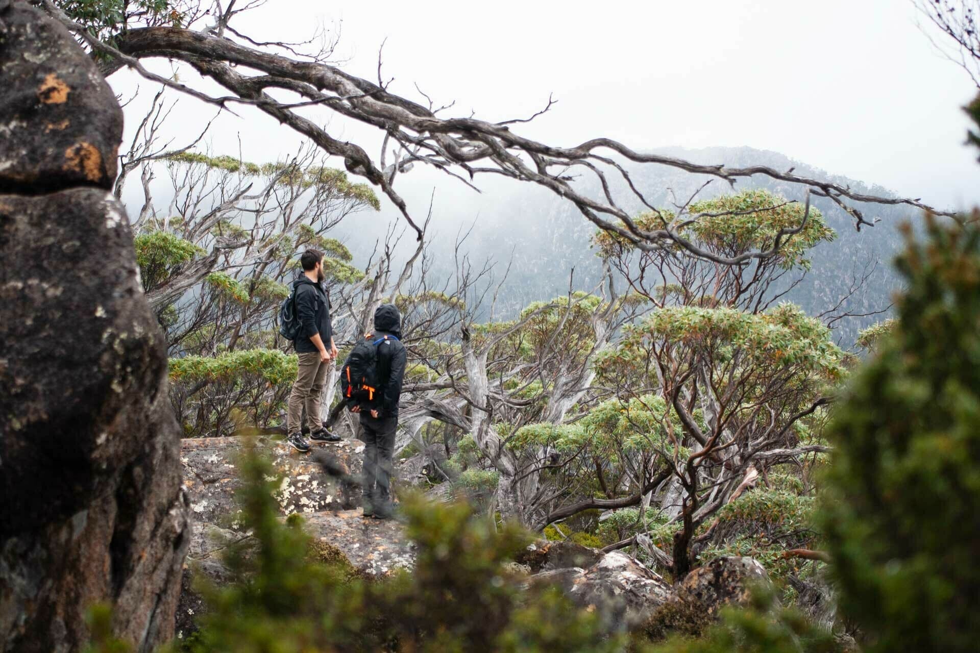 Looking over Mt Field National Park, The Tarn Shelf – Tasmania's Best Day Hike You've Never Heard Of, casey fung, tarn shelf, mt field national park, tasmania