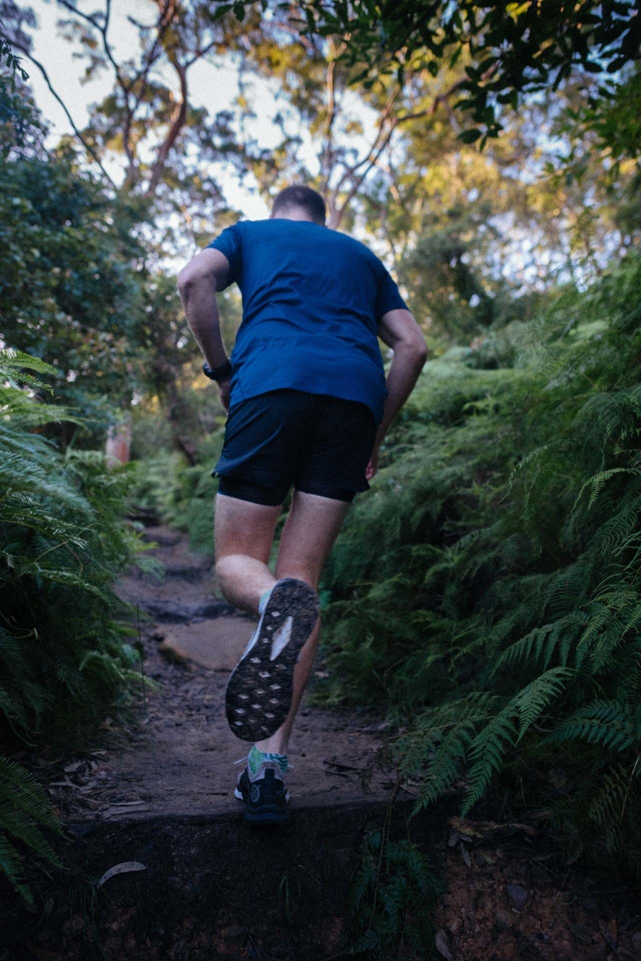 the north face flight Vectiv Gear Review, evan andrews photo, harold reid reserve, sydney, trail running, shoes, run, tim ashelford