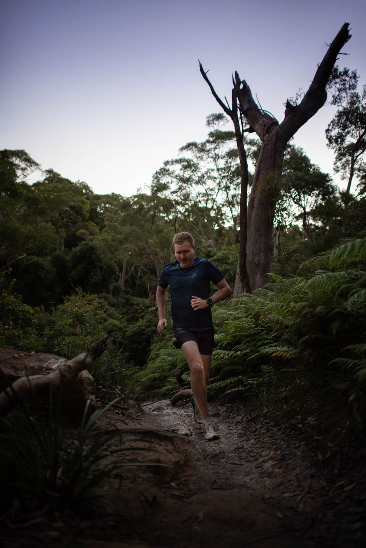 the north face flight Vectiv Gear Review, evan andrews photo, harold reid reserve, sydney, trail running, shoes, run, tim ashelford