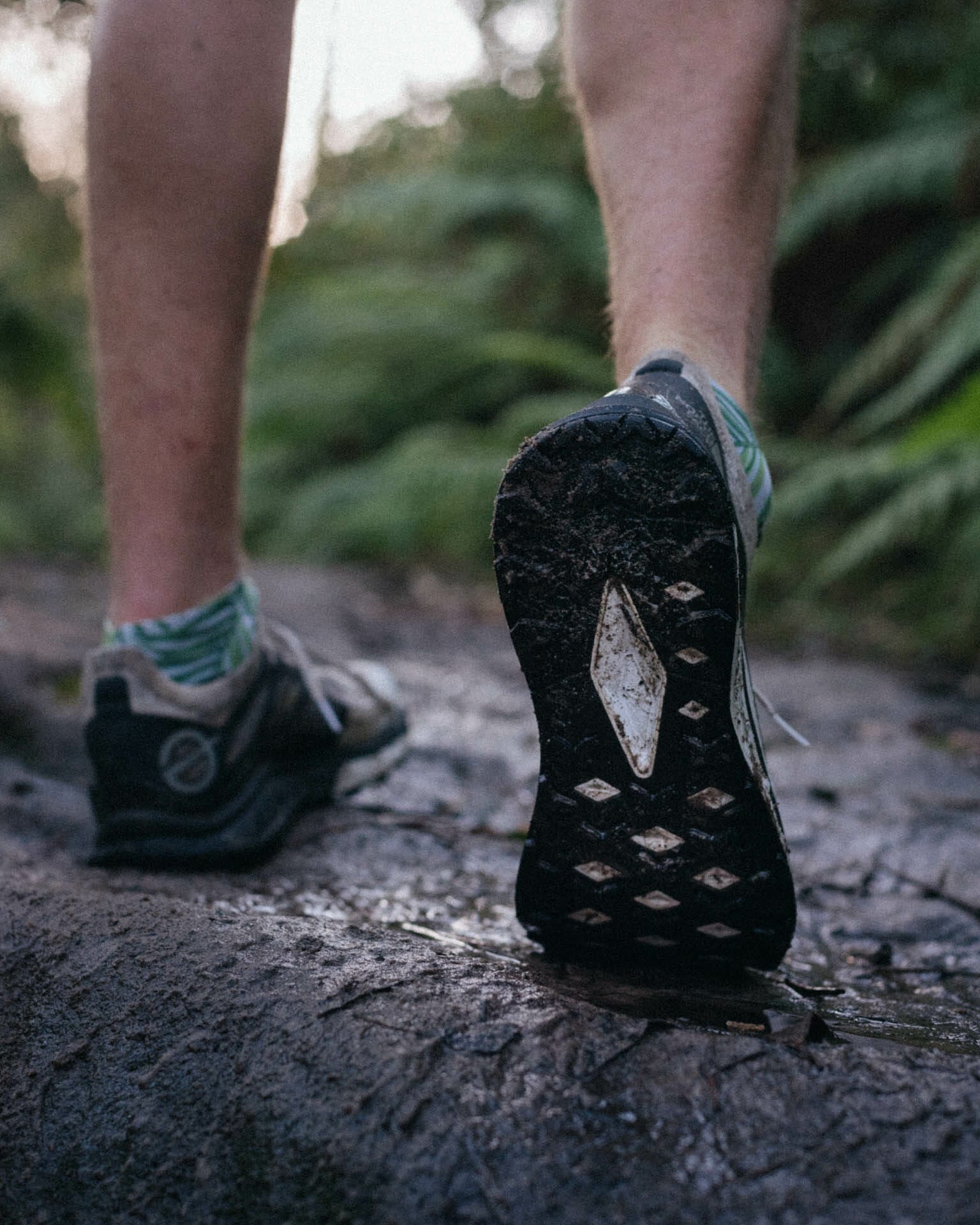 the north face flight Vectiv Gear Review, evan andrews photo, harold reid reserve, sydney, trail running, shoes, run, grip