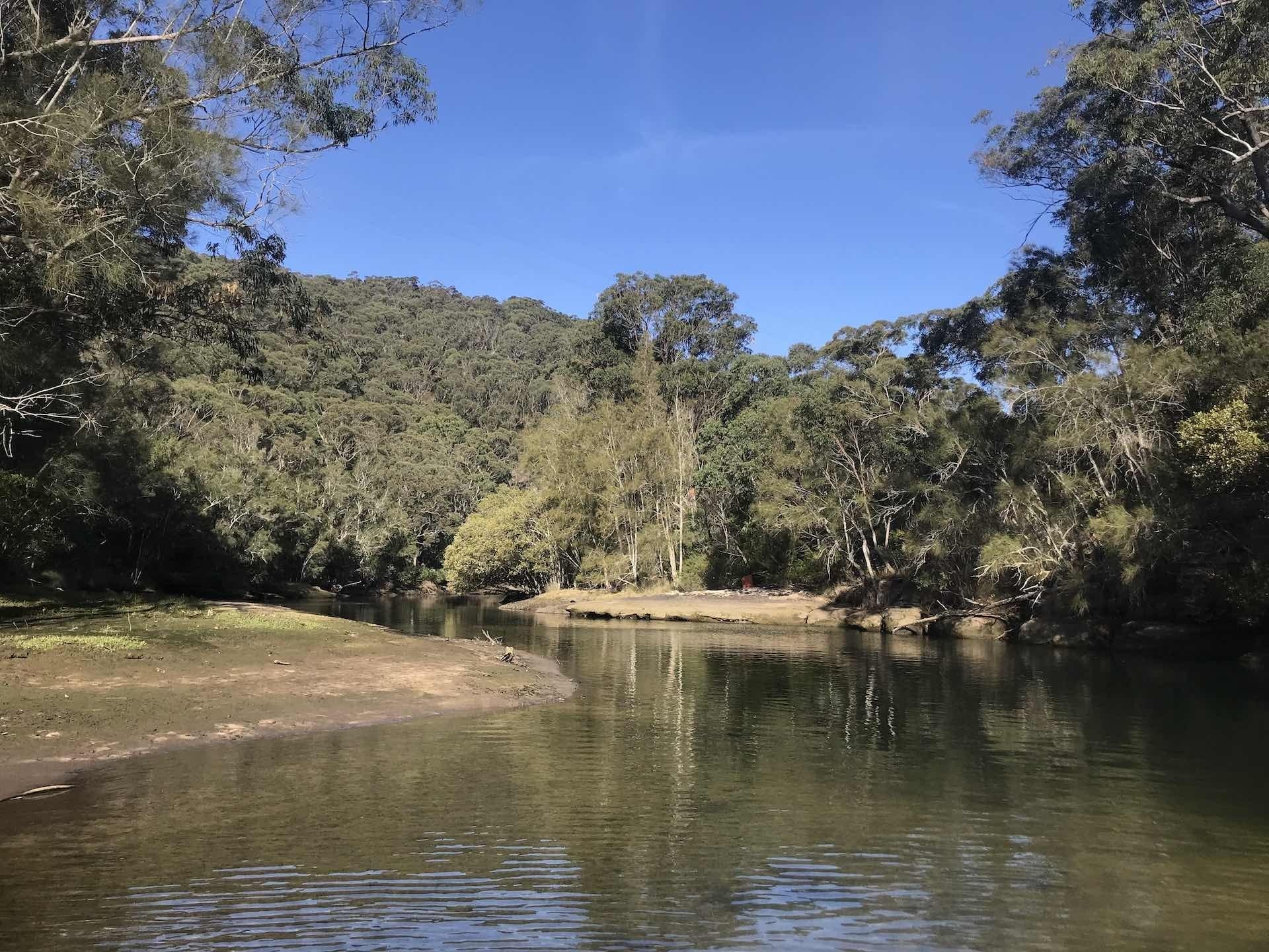 5 Best Places to Stand Up Paddle Board Around Sydney (Out of The Ocean), photo by She SUPs, Middle Harbour