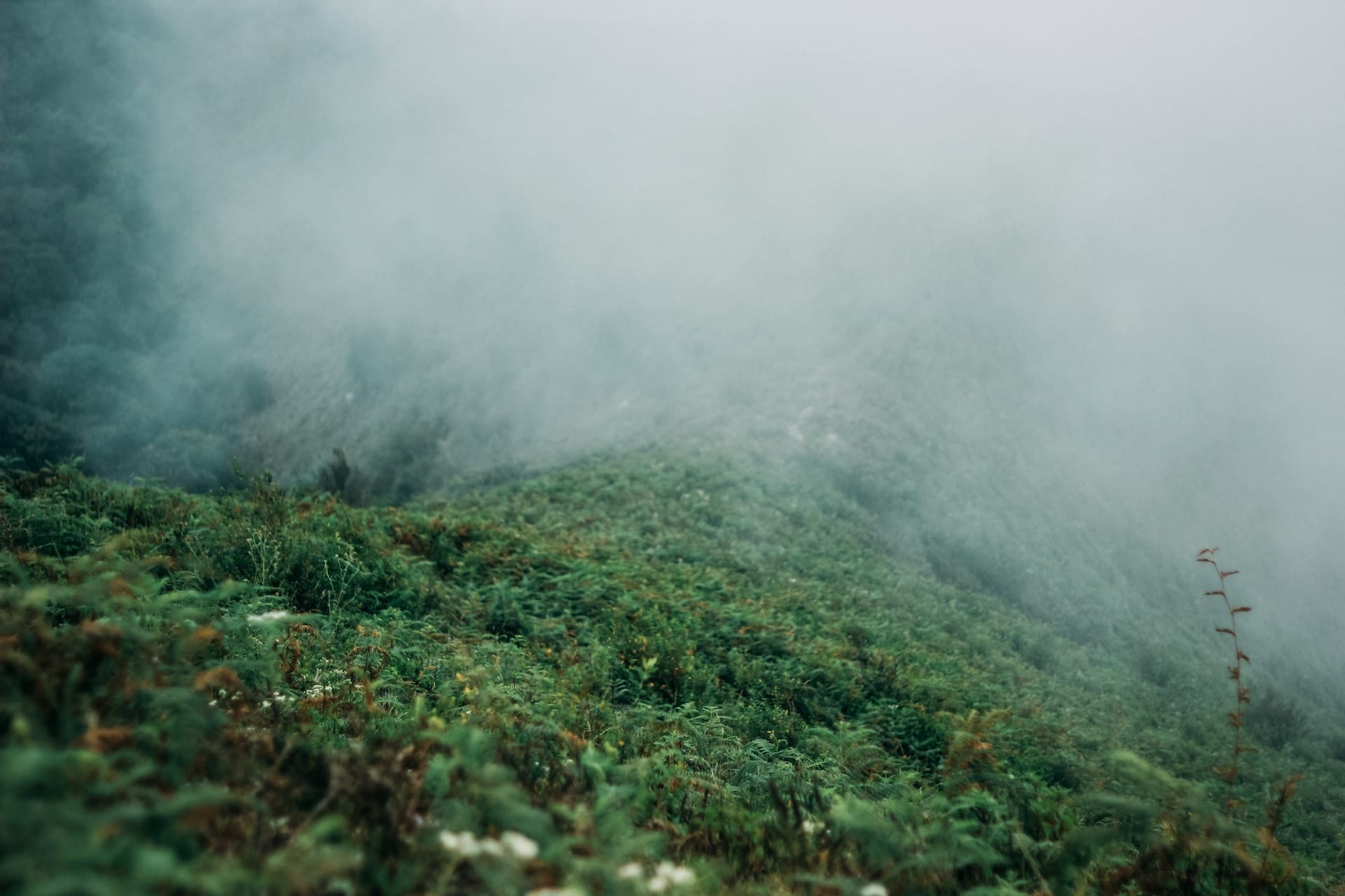 How to read the weather, photo by @panjinda