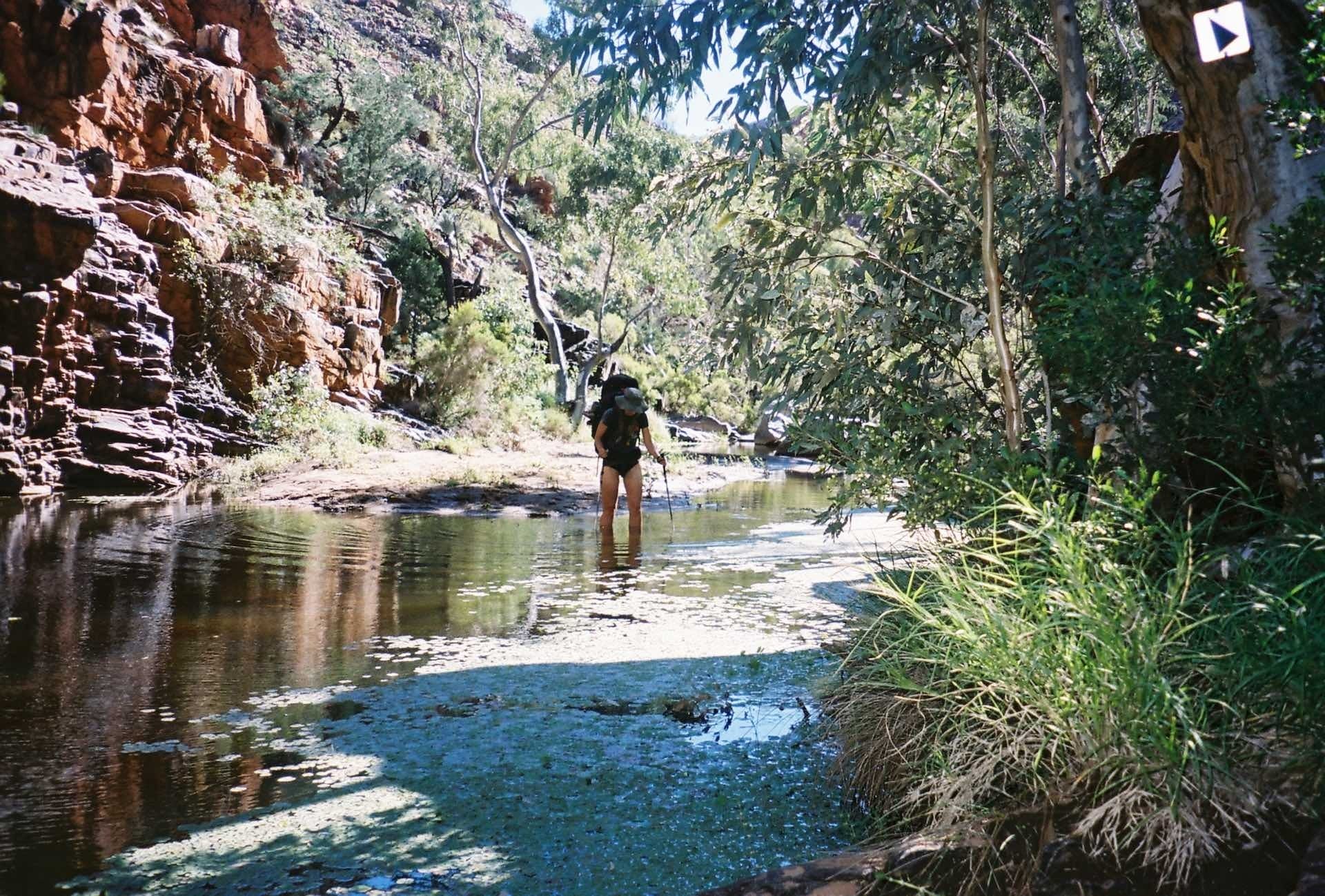 10 Things You Need to Know Before Hiking The Larapinta Trail, Ruby Claire, Central Australia, gorge, river, woman, hike, wade, hiking poles