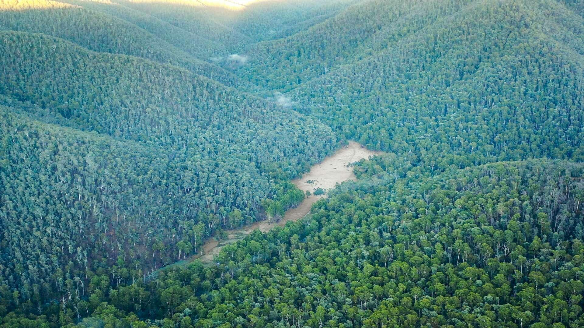 mayford flats, dargo river, shot by mitch drummond, victorian high country, victoria