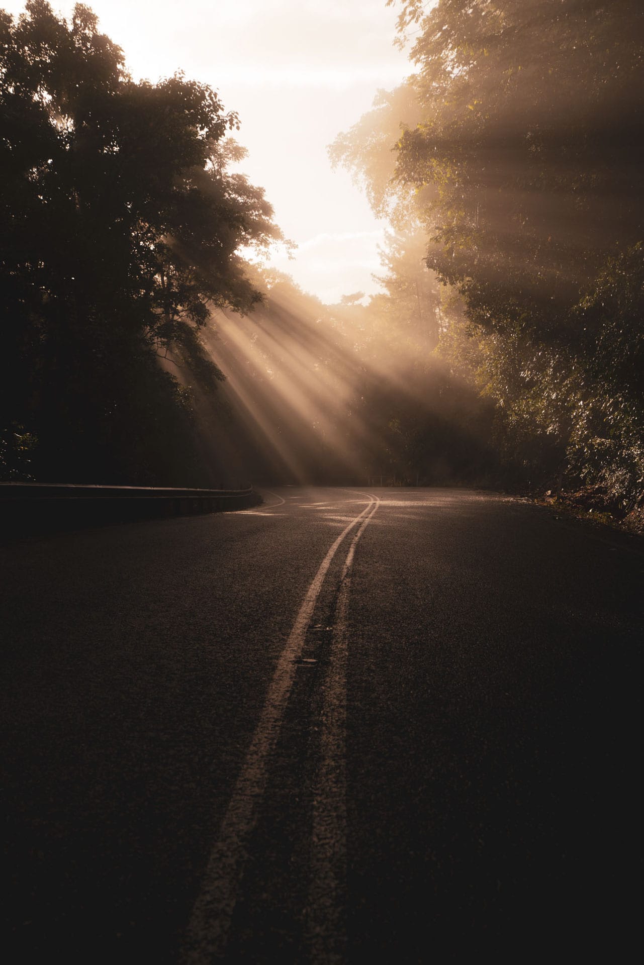 An Infinity Pool, Granite Massif and Bulwai Rock Art – Camping in Davies Creek National Park, mitch cox, rainforest road cairns, tropical north queensland