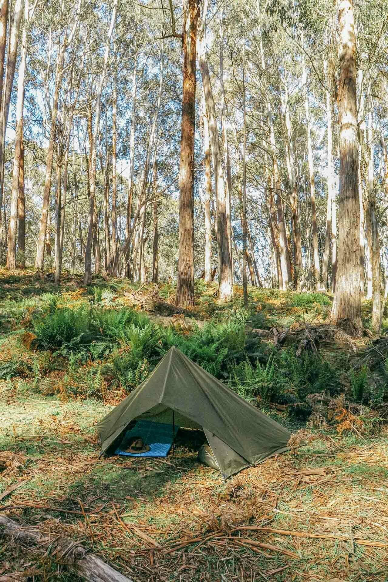 How To Camp Under a Tarp, kale munro, tarp camping, shelter, lil tent