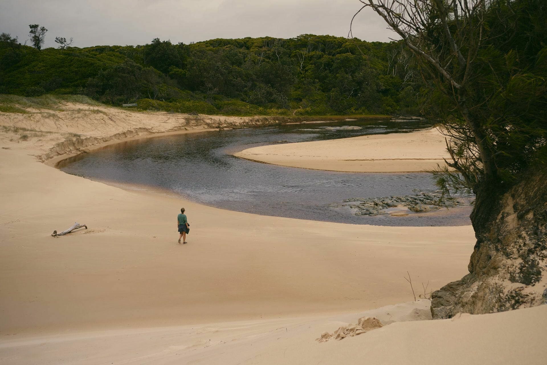 Bundagaree Rainforest Walk Offers a Refreshing Combo of Bush & Beach - Joe Cuzzocrea, Beach, Bongil Bongil, Bundagaree Rainforest.