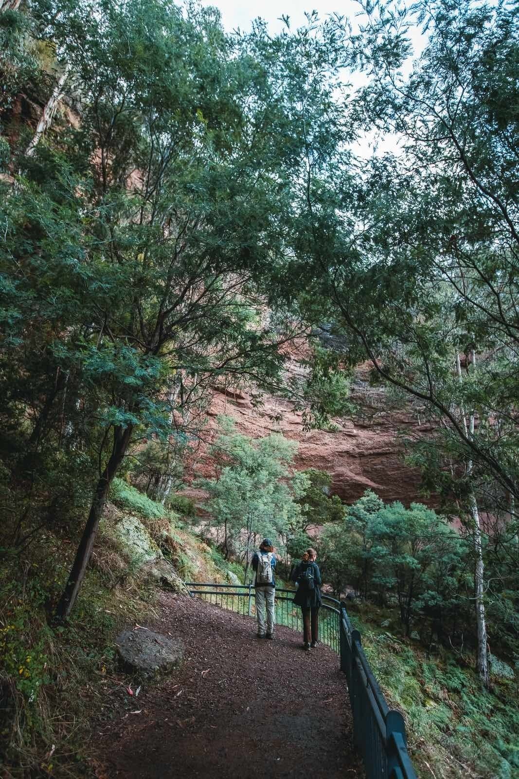 5 Hikes to Tackle Around Wangaratta (And Where to Get a Brew Afterwards), Henry Brydon, Paradise Falls, hike, forest, cliff