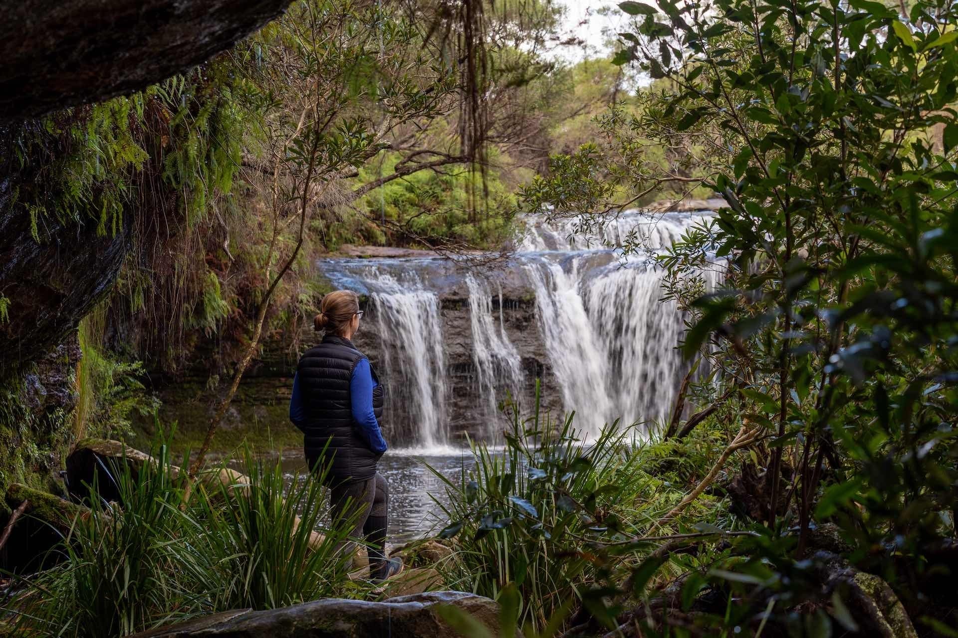 Choose Your Own Adventure in Kiama With These Unique Road Trips, Jon Harris, Nellies Glen, waterfall, rainforest