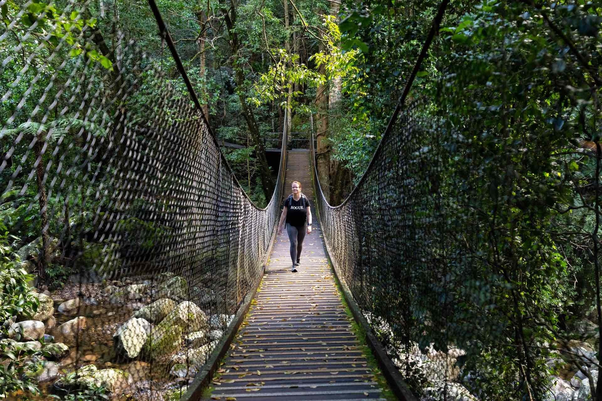 Choose Your Own Adventure in Kiama With These Unique Road Trips, Jon Harris, Minnamurra Rainforest, woman, hike, bridge