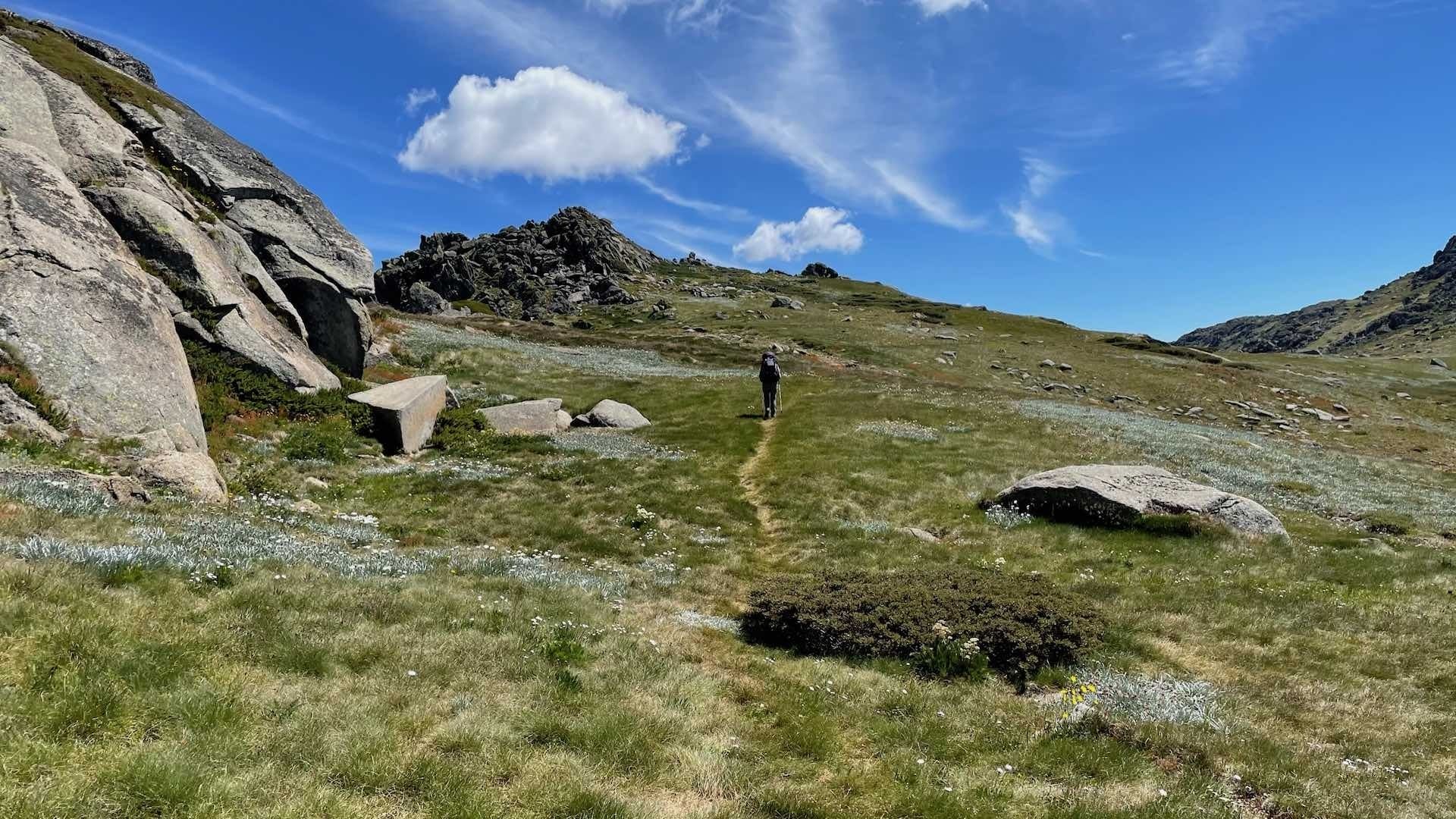 Kosciusko to Kiandra – Hiking The Snowies in Summer, Wendy Bruere, track, Snowy Mountain, hike