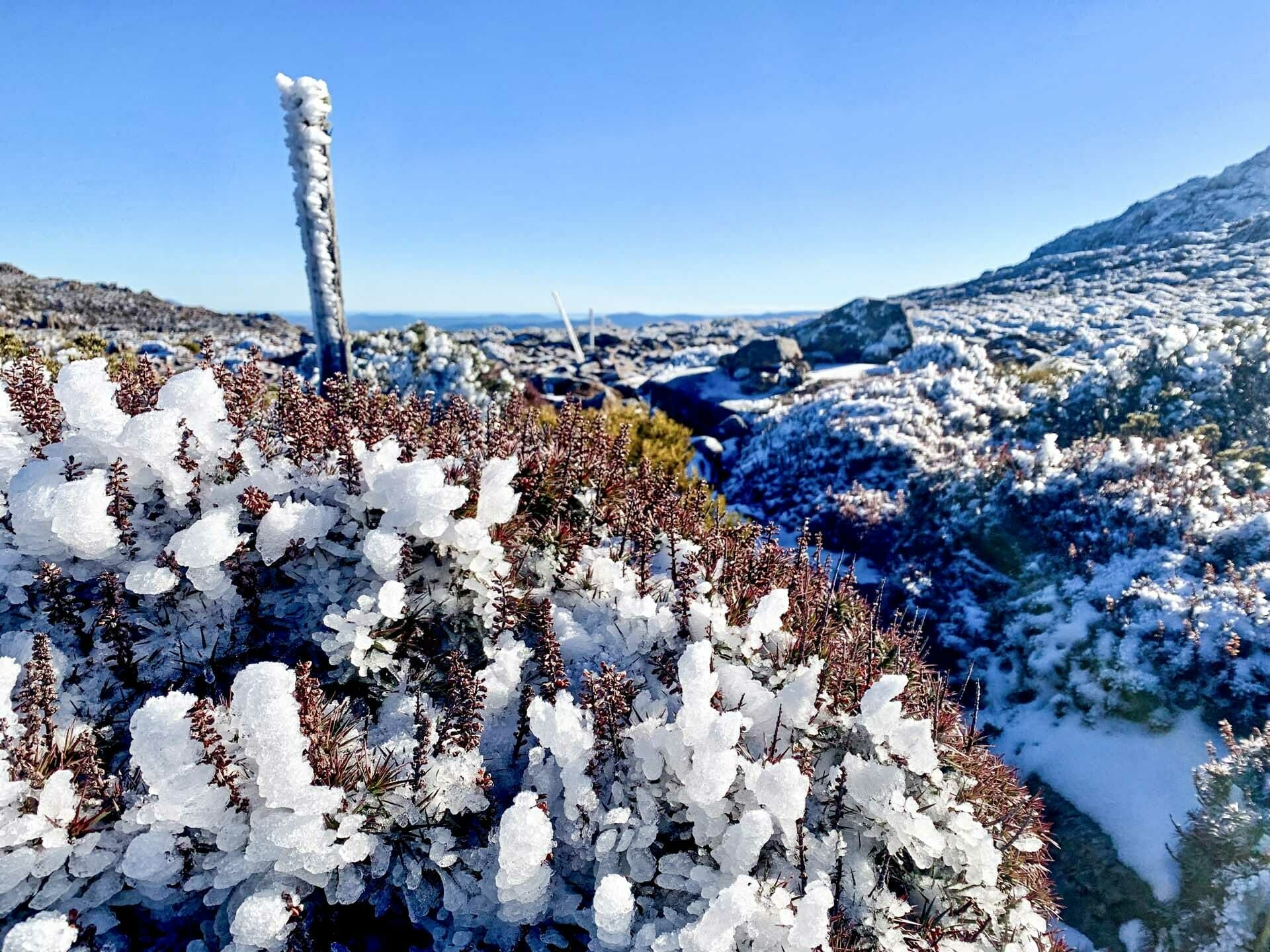 Snow Running up Legges Tor, an hour from Launceston - Ben Wells, hiking, alpine, ice