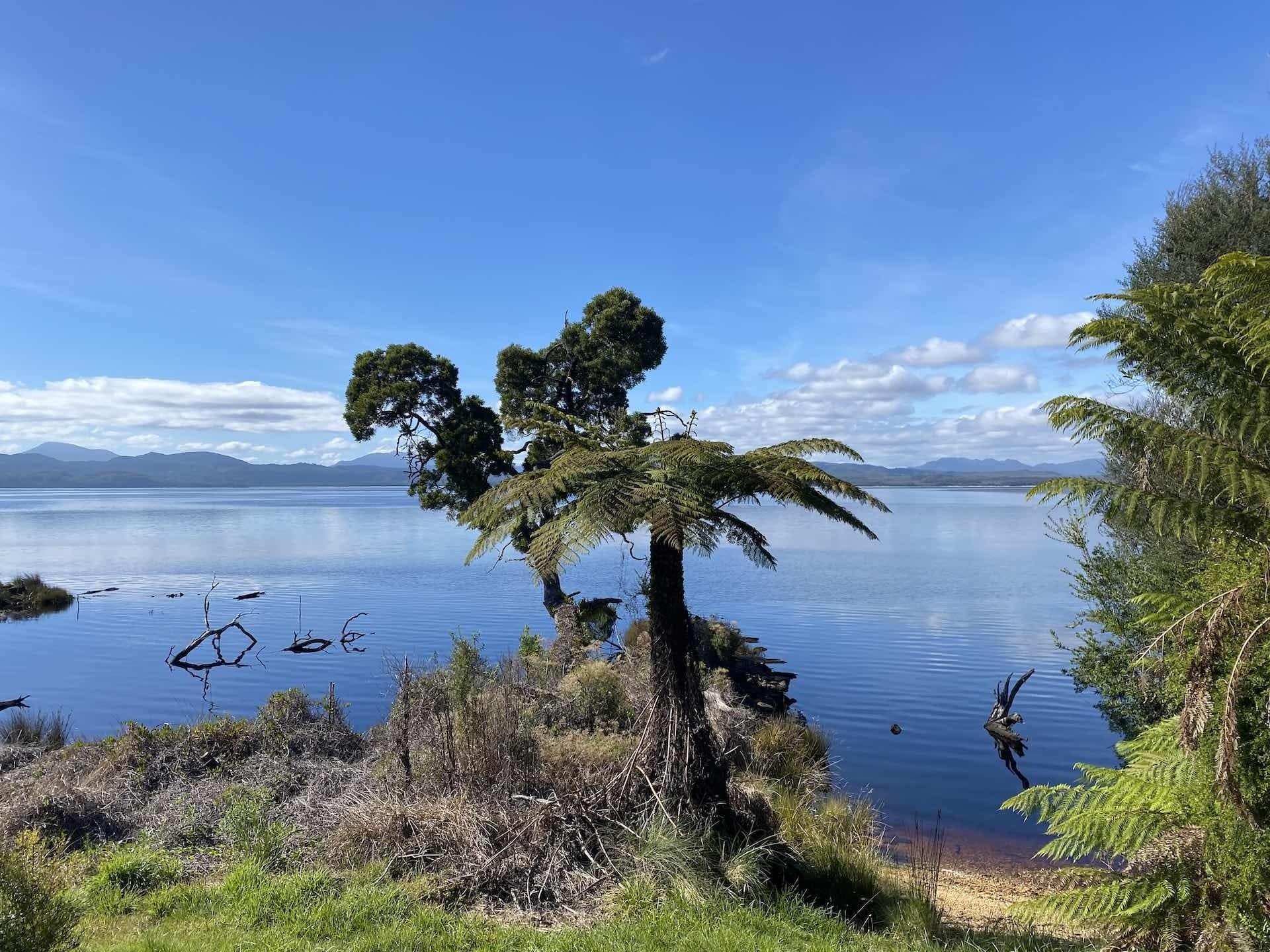 Discovering Indigenous Culture in lutruwita / Tasmania on a Week Long Road Trip - Sarah Tayler, Sarah Island, Tasmania,