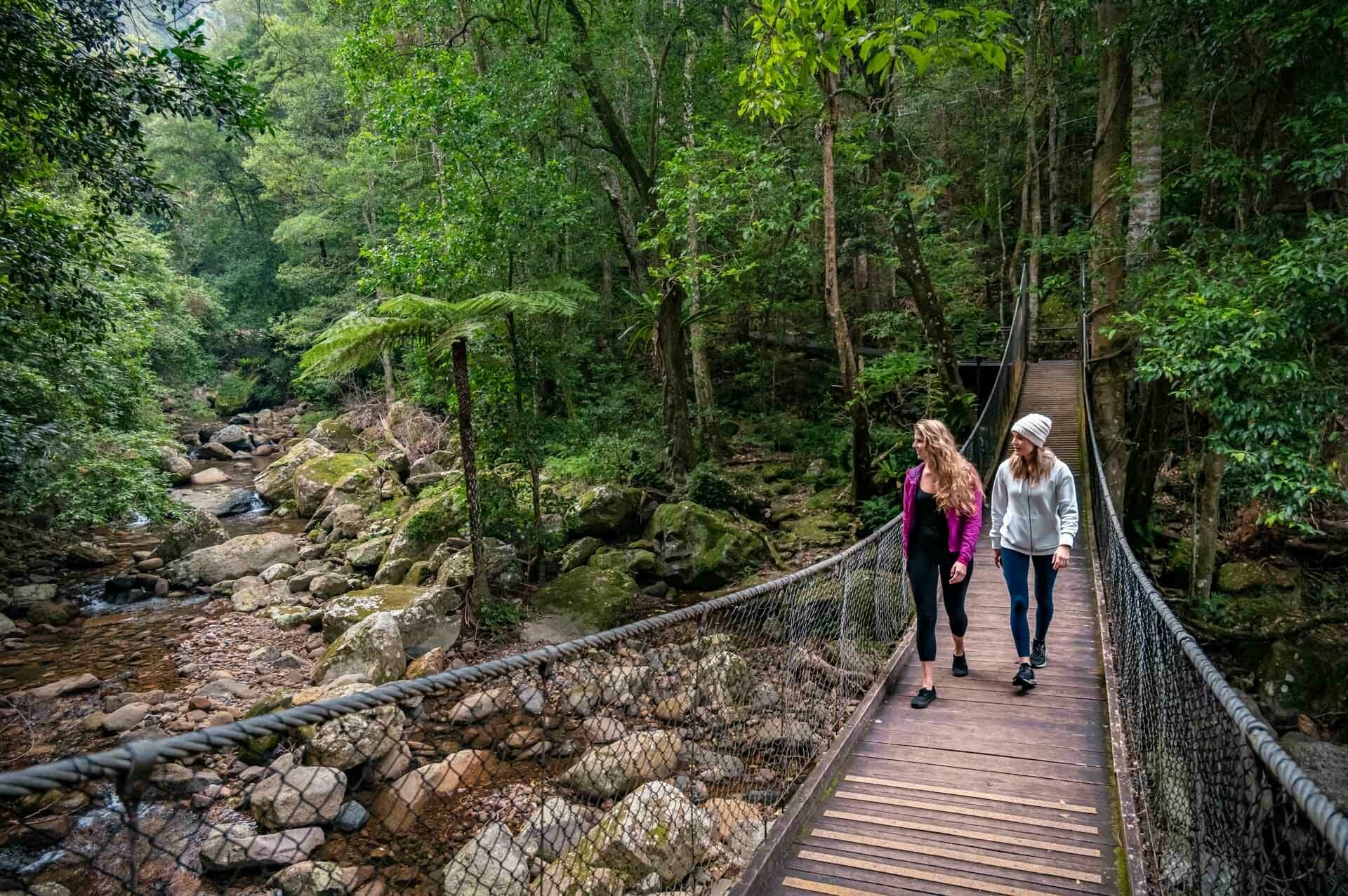 Minnamurra Rainforest, mark fitz, kiama