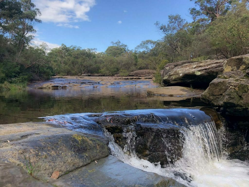 The Cascades Offer a Tropical Escape Right in The City, Stephanie Lentz - Gadigal, bushwalk, water