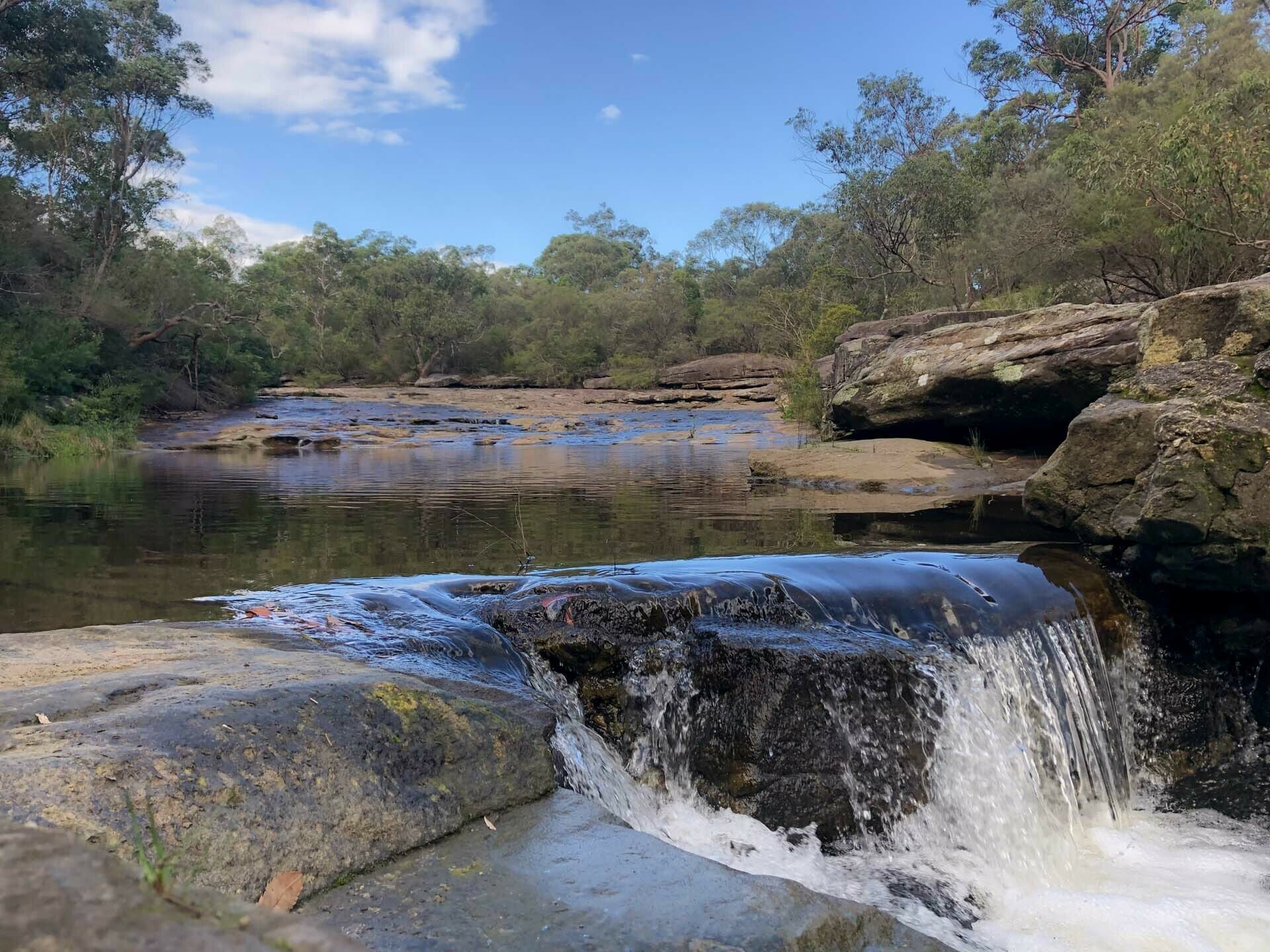 The Cascades Offer a Tropical Escape Right in The City, Stephanie Lentz - Gadigal, bushwalk, water
