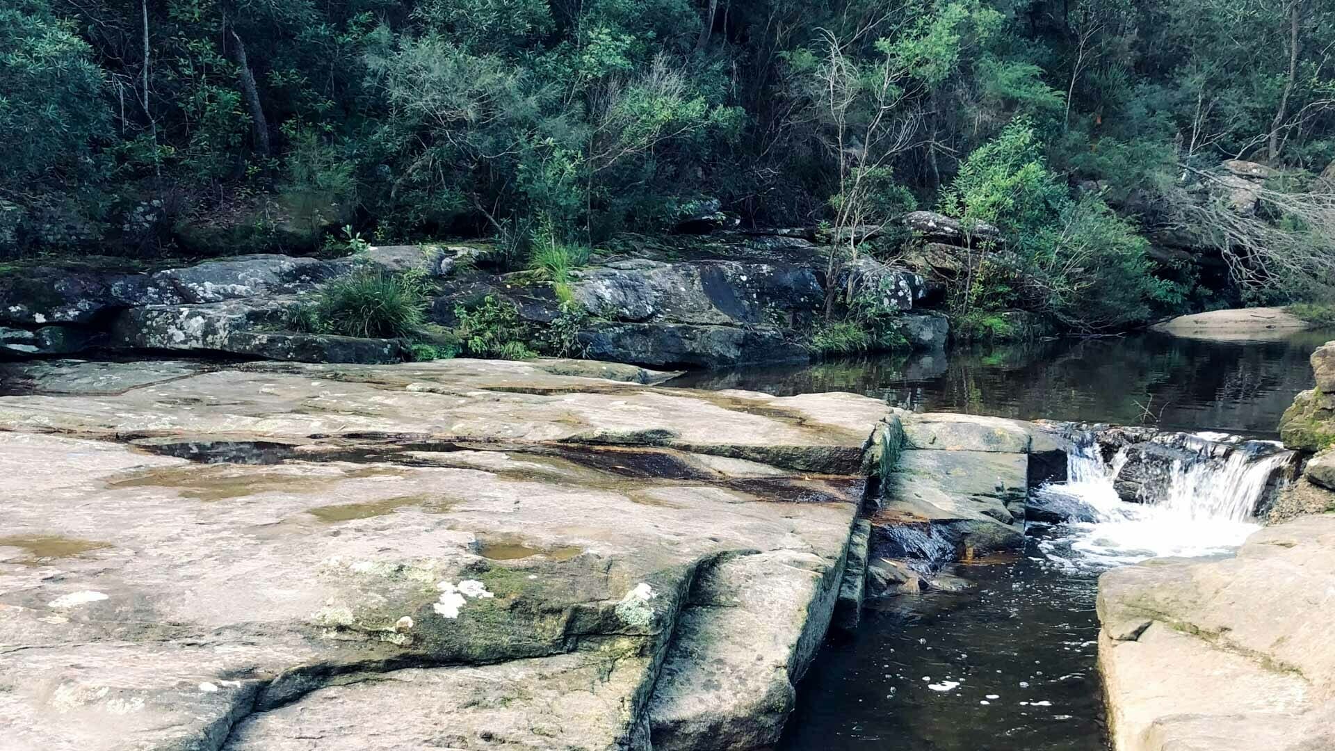 The Cascades Offer a Tropical Escape Right in The City, Stephanie Lentz - Gadigal, bushwalk, water