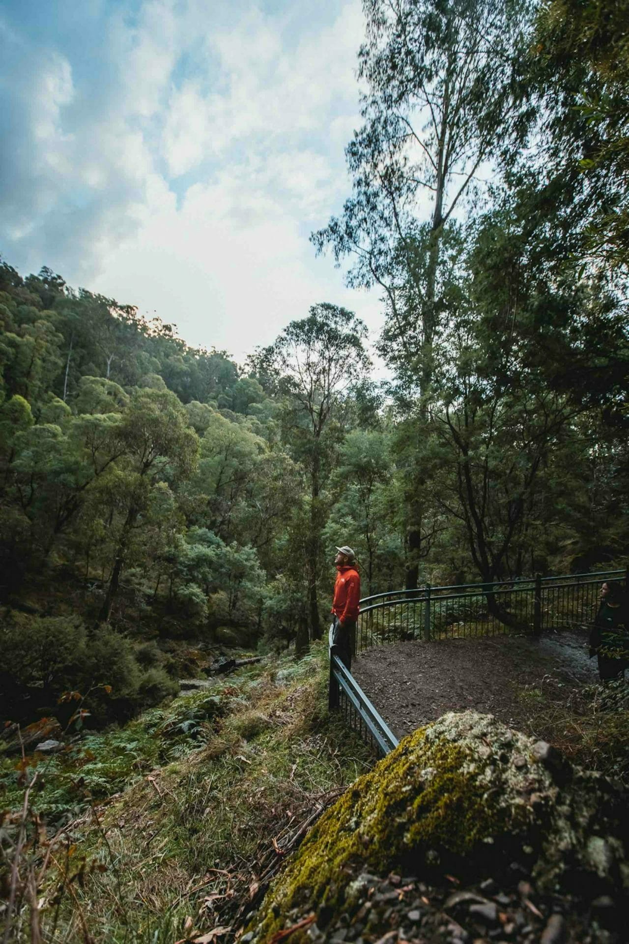 Embracing Courage in the King Valley, Bee Stephens, Wangaratta, Paradise Falls.