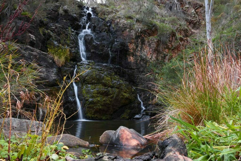Morialta Has Three Magical Waterfalls to Explore in One Epic Hike, Cara Van Wyk. Butterfly, Morialta Conservation Park, Waterfall, Third Falls