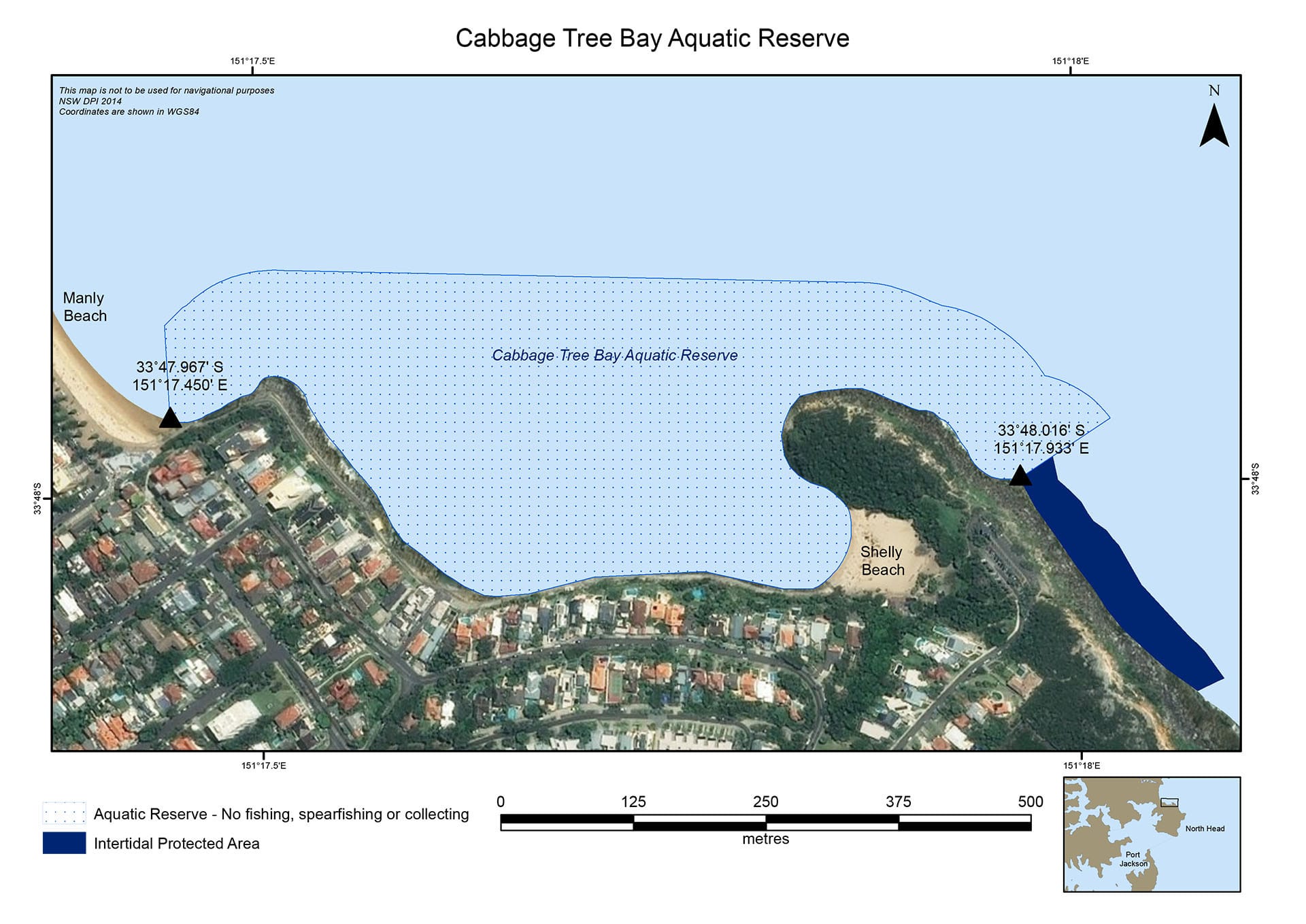 Meet The Underwater Residents of Sydney’s Cabbage Tree Bay Aquatic Reserve – Photo Essay