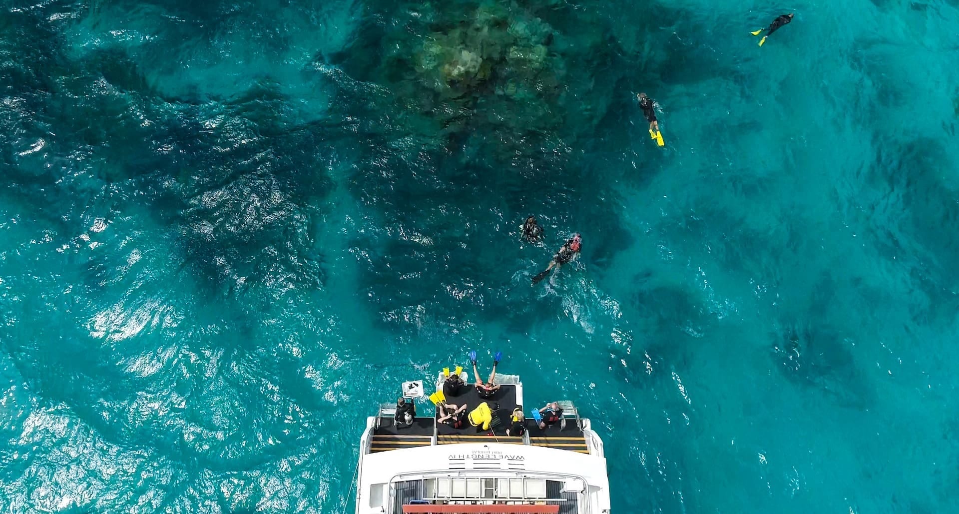 A New Spiced Rum Brand Is Helping Regrow The Great Barrier Reef, reeftip drinks co. coral growth, spawning, nursery, great barrier reef, diving, boat