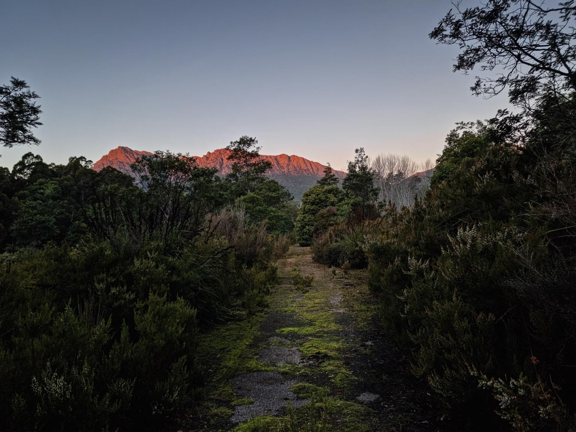 Long Days & Life Lessons On A 600km Trek Across Tasmania, jason reeve, thru-hike, tasmania, sunset, mountain
